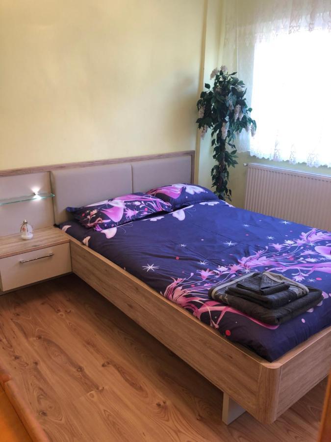 La Symo Apartament Straja Lupeni Lupeni  Zewnętrze zdjęcie