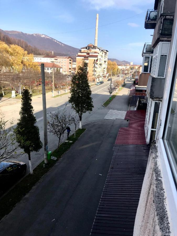 La Symo Apartament Straja Lupeni Lupeni  Zewnętrze zdjęcie