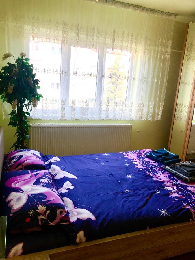 La Symo Apartament Straja Lupeni Lupeni  Zewnętrze zdjęcie