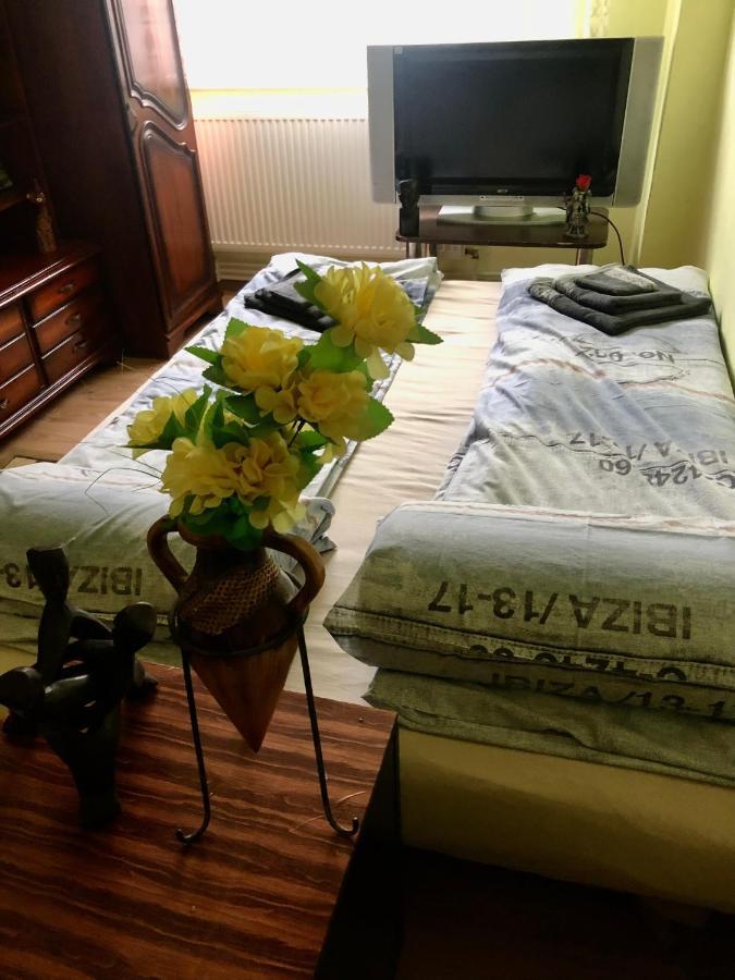 La Symo Apartament Straja Lupeni Lupeni  Zewnętrze zdjęcie
