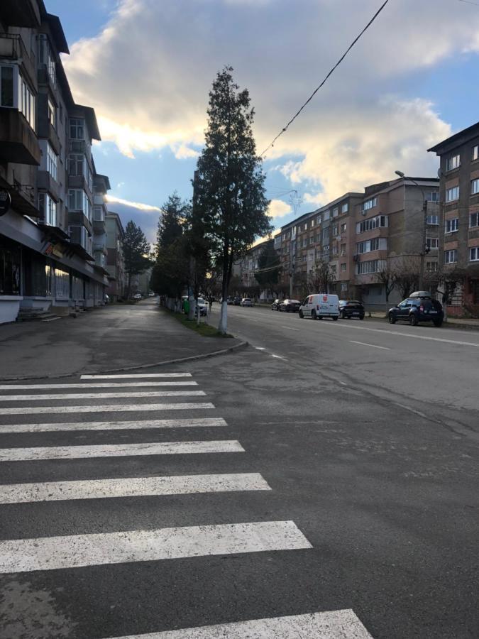 La Symo Apartament Straja Lupeni Lupeni  Zewnętrze zdjęcie