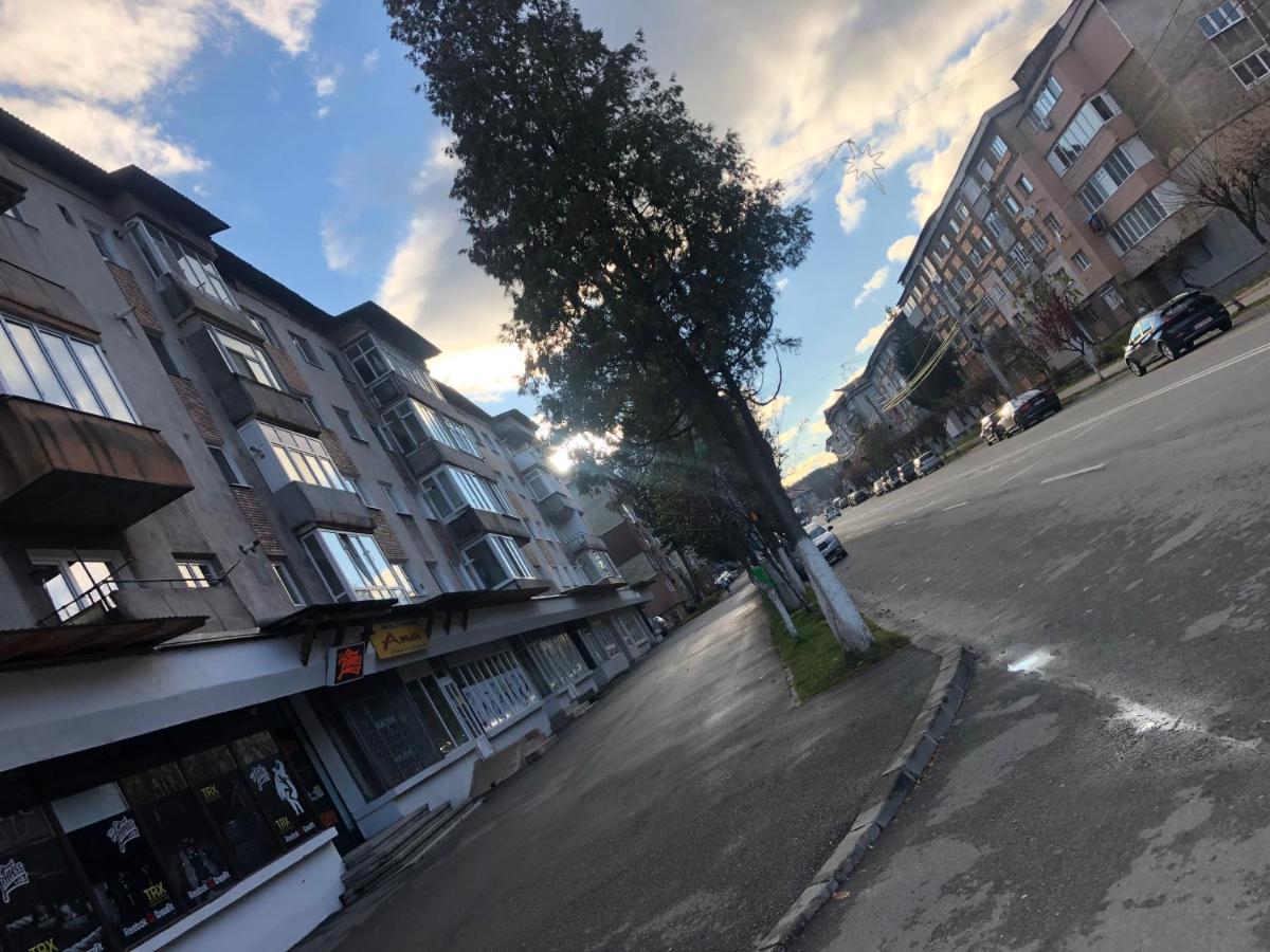 La Symo Apartament Straja Lupeni Lupeni  Zewnętrze zdjęcie