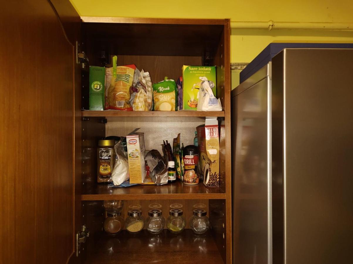 La Symo Apartament Straja Lupeni Lupeni  Zewnętrze zdjęcie