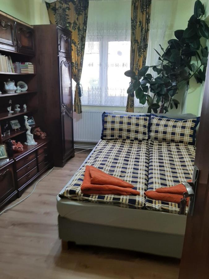 La Symo Apartament Straja Lupeni Lupeni  Zewnętrze zdjęcie